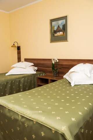 Отель Hotel Lyra Орадя Двухместный номер с 1 кроватью или 2 отдельными кроватями-8