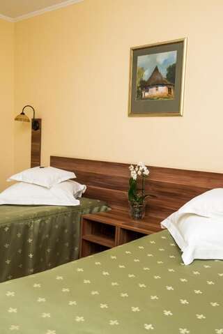 Отель Hotel Lyra Орадя Двухместный номер с 1 кроватью или 2 отдельными кроватями-1